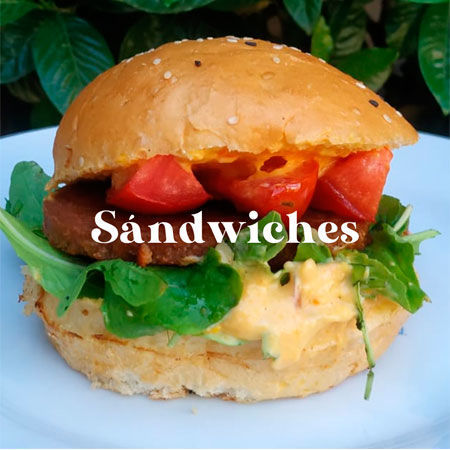 Imagen para la categoría Sándwiches